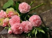 СМС-поздравления с днем рождения на 24 марта