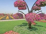 В Дубае открывают парк, состоящий из 45 млн цветов (Видео)