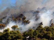 В Ялте горит лес