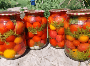 Маринованные помидоры с морковной ботвой имеют насыщенный вкус