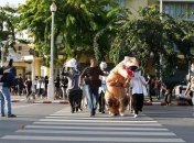 С песнями и плюшевыми хомяками: молодежь Таиланда призвала правительство уйти в отставку (Видео)