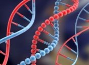 У мальчика нашли лишний набор ДНК