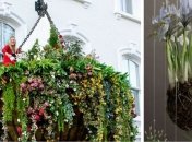 Висячие сады в доме - мечта, которая может стать реальностью