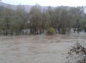 Гибель школьника на Закарпатье: Семье выделят материальную помощь 