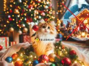 Рождество без снега