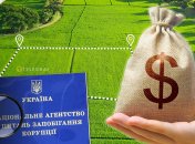 Проверка деклараций. Фото Коллаж "Телеграфа"