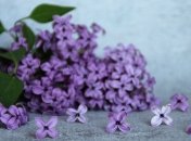 Кузьма огородник: приметы и обряды на 1 мая