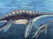 Ученые нашли останки загадочного морского чудовища