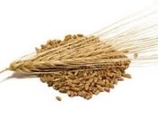 Ячмень в детском питании