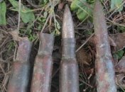 Сотрудники милиции изъяли патроны у любопытного мужчины