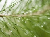 Дожди из Украины выметает антициклон Xandra: прогноз погоды на 17-18 июля 