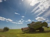 В 2014 году проблем с продовольствием в Украине не ожидается