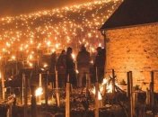 В Европе жгут костры, чтобы защитить виноградники