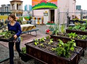 Сад-огород на крыше — теперь реальность