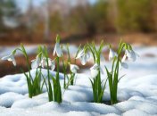 Весна придет в Украину не сразу