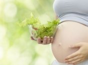 Вкусовые пристрастия ребенка зависят от питания матери