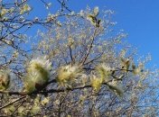 6 апреля. Приметы дня