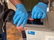 В Польше задержали 3 украинцев, среди них несовершеннолетний