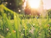 В Україні очікується найтепліший весняний день