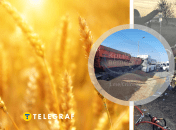 Награбоване вийшло боком: у Криму масштабна ДТП із зерновозом, багато загиблих (відео)