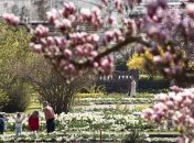Тепло до +24°: синоптики рассказали, какой будет Страстная неделя