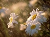 Прогноз погоды в Украине на 3 июля: на юге и в Крыму пройдут дожди