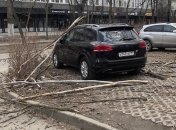 Вітер повалив дерева