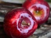 Диетологи сообщили, что урсоловая кислота помогает при похудении