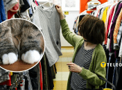 Кіт на секонді