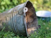 Как увеличить урожайность овощей