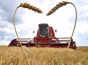 Зерно - основа рациона многих беднейших стран