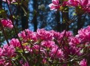 23 квітня 2020-прикмети, події та церковний календар цього дня