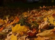 Погода в Украине на сегодня: солнечно будет почти на всей территории