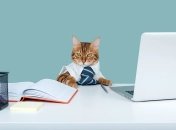 З яких знаків Зодіаку виходять чудові керівники