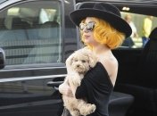 Serebro встали на защиту Гаги от Мадонны