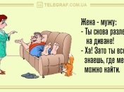 Веселое настроение: утренние анекдоты 18 ноября