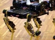 Теперь возможно завести себе робота-кота (Видео)