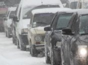 Возле Киева замерзают животные