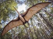 Палеонтологи восстановили вид одного из крупнейших летающих животных