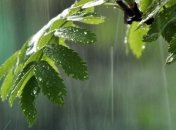 Погода в Украине 30 мая: по всей территории страны возможны дожди