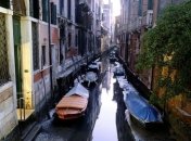 Каналы Венеции почти полностью пересохли (Видео)
