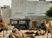 У Катарі заборонили в'їзд туристам з 14 країн