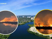 Пожар в экопарке "Осокорки" тушили около 7 часов