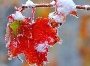 Прогноз погоды на ближайшие дни