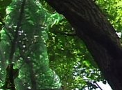 Ученые хотят создать активный камуфляж