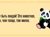 Не стоит хмуриться сегодня: веселые анекдоты 31 марта