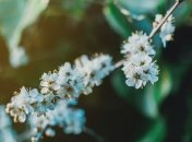 Какой праздник 13 апреля: народные приметы и запреты