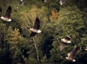 Приметы и обряды на 29 сентября - День Евфимии