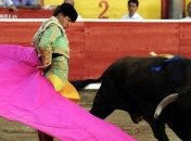 Конституционный суд Франции отказался запрещать корриду