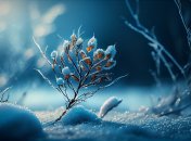 Савин день в 2023 году отмечается 5 декабря (ранее 18 декабря)